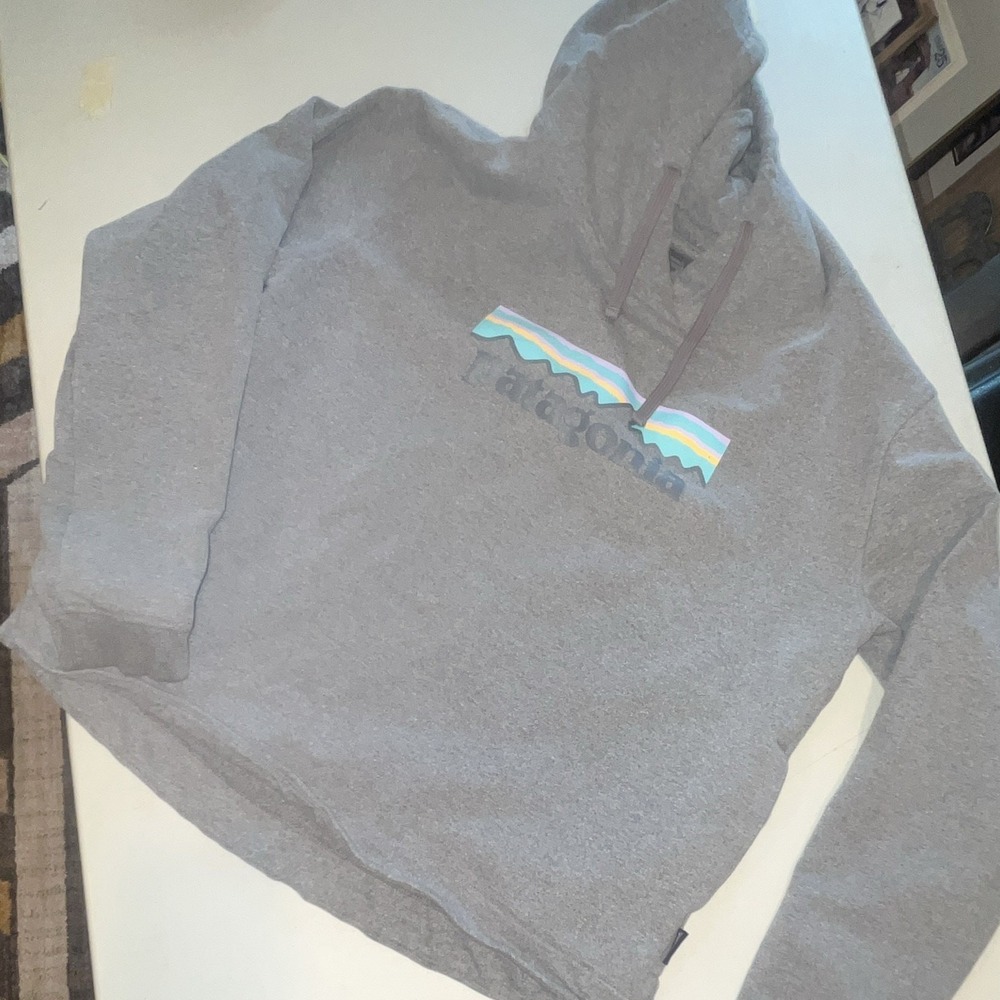 Patagonia Gray womens's‎ M Fleece Pullover Hoodie Regular Fit Graphic Logo (147)